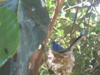 DSCN0089.JPG