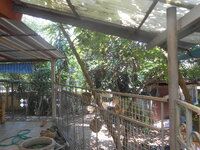 DSCN0086.JPG