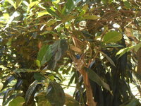 DSCN0087.JPG