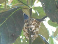 DSCN0092.JPG