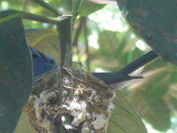DSCN0093.JPG