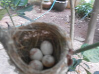 DSCN8350.JPG