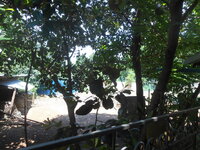 DSCN0095.JPG