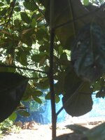 IMG_20180518_105949.jpg