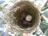 DSCN8629.JPG