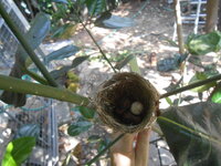 DSCN8628.JPG