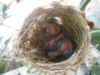 DSCN8669.JPG