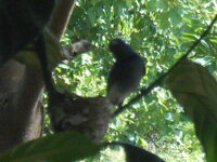 DSCN8683.JPG