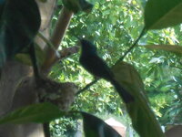 DSCN8682.JPG