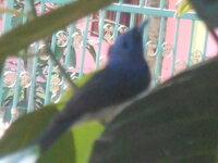 DSCN8685.JPG