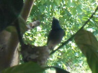 DSCN8684.JPG