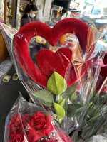 IMG_6055.jpeg