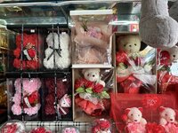 IMG_6073.jpeg