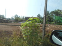 DSCN9375.JPG