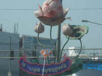 DSCN9381.JPG
