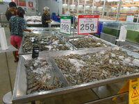 DSCN9411.JPG