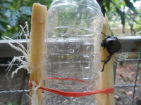 DSCN9608.JPG