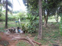 DSCN9571.JPG