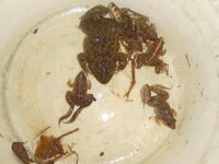 DSCN9796.JPG