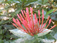 DSCN9939.JPG