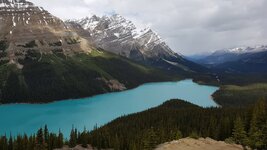 Canada-Alberta ''Icefields Parkway-Peyto Lake''.jpg