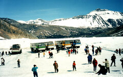 Canada-Alberta ''Jasper National Park Athabasca Glacier'' (9).jpg