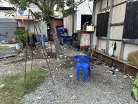 IMG_6684.jpeg