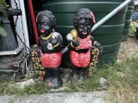 IMG_6685.jpeg