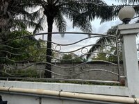 IMG_6688.jpeg