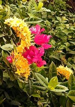 IMG_20230505_080458_338~4.jpg