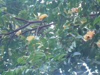 DSCN9842.JPG