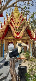 IMG_4452.jpeg