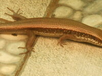DSCN0974.JPG