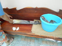 DSCN9951.JPG