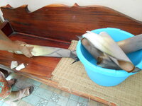 DSCN9953.JPG