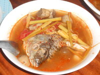 DSCN9945.JPG DSCN9945.JPG