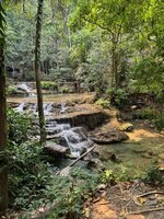 IMG_4436.jpeg