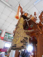 DSCN0733.JPG