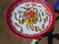 DSCN0748.JPG