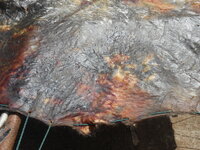 DSCN0752.JPG