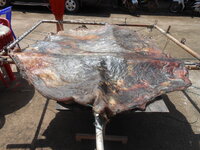 DSCN0751.JPG