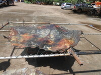 DSCN0750.JPG