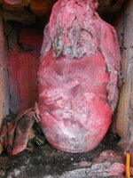 DSCN0763.JPG