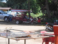 DSCN0784.JPG