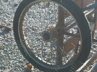 DSCN0846.JPG