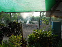 DSCN0537.JPG