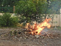 DSCN0541.JPG