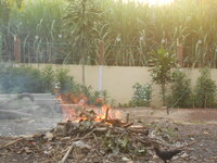 DSCN0540.JPG