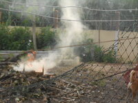 DSCN0538.JPG