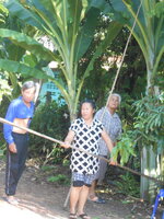 DSCN0915.JPG